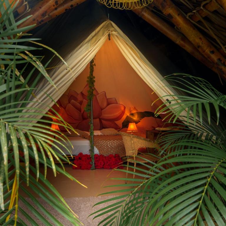 Glamping Las Palmas Finca - Deluxe Suite with Spa Bath - 9