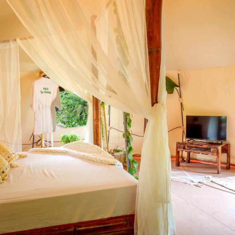 Glamping Las Palmas Finca - Deluxe Suite with Spa Bath - 14