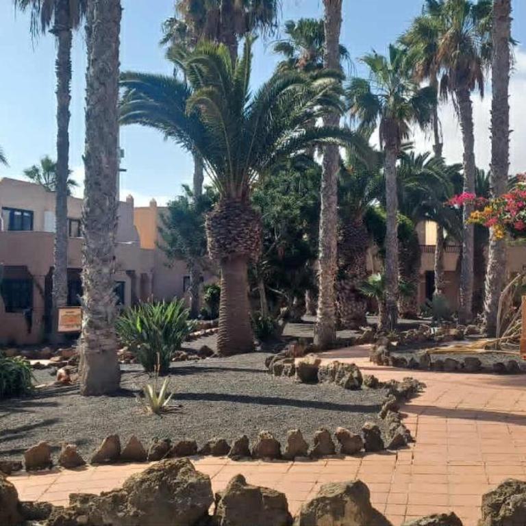 Casa Camila - Two-Bedroom Apartment - 38