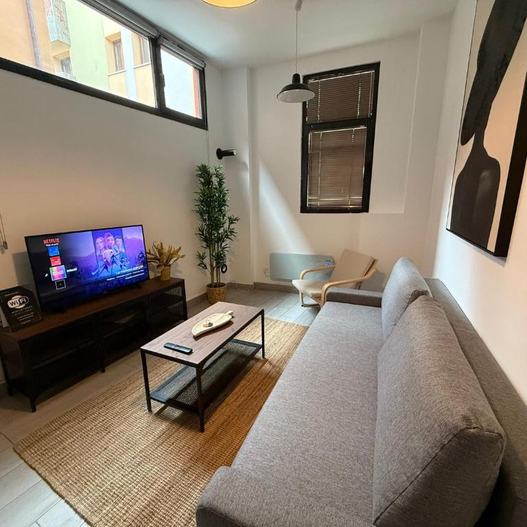 AtuaireHome Mirador de Saldaña en pleno centro histórico - Apartamento de 1 dormitorio - 4