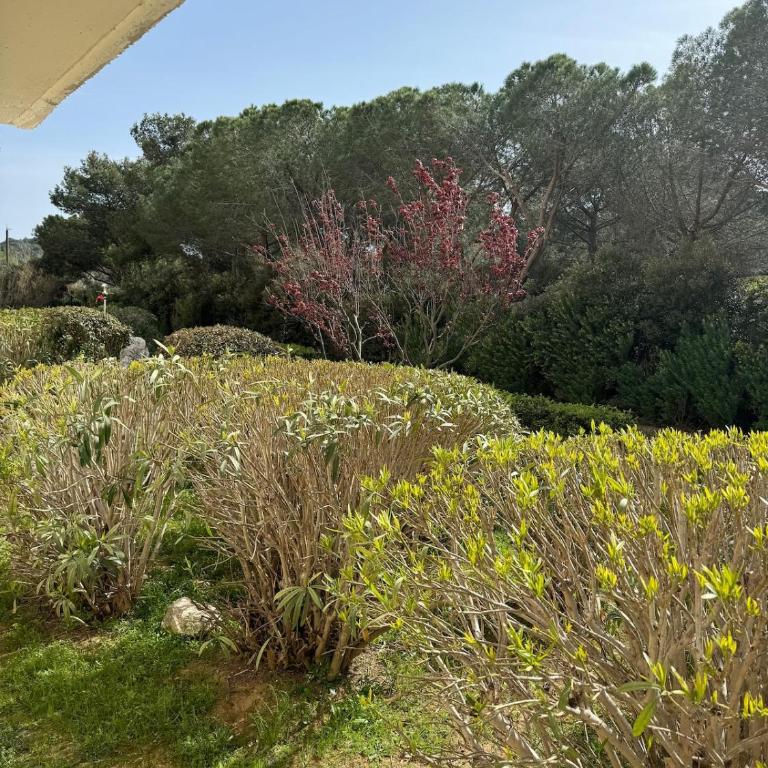 Flower Suite & Spa, air-conditioned and beach - Apartamento de 1 dormitorio - 20