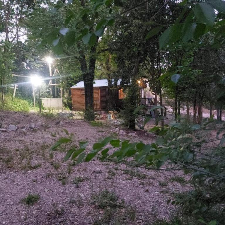 cabaña en el bosque - One-Bedroom House - 17