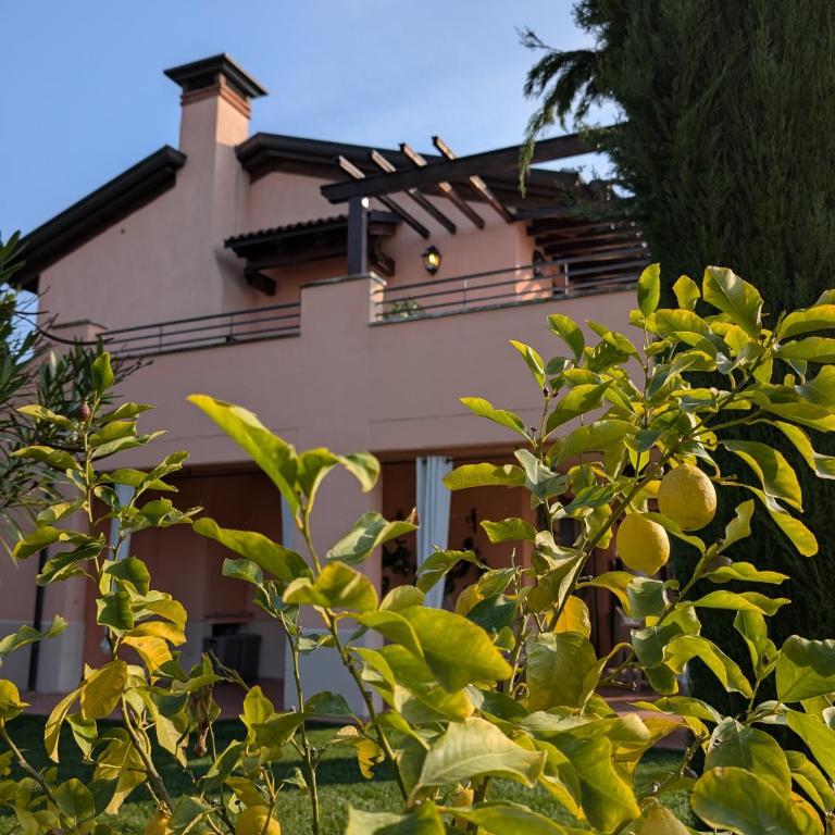 Casa Lolla Garda Resort Village - Appartamento con 2 Camere da Letto - 18