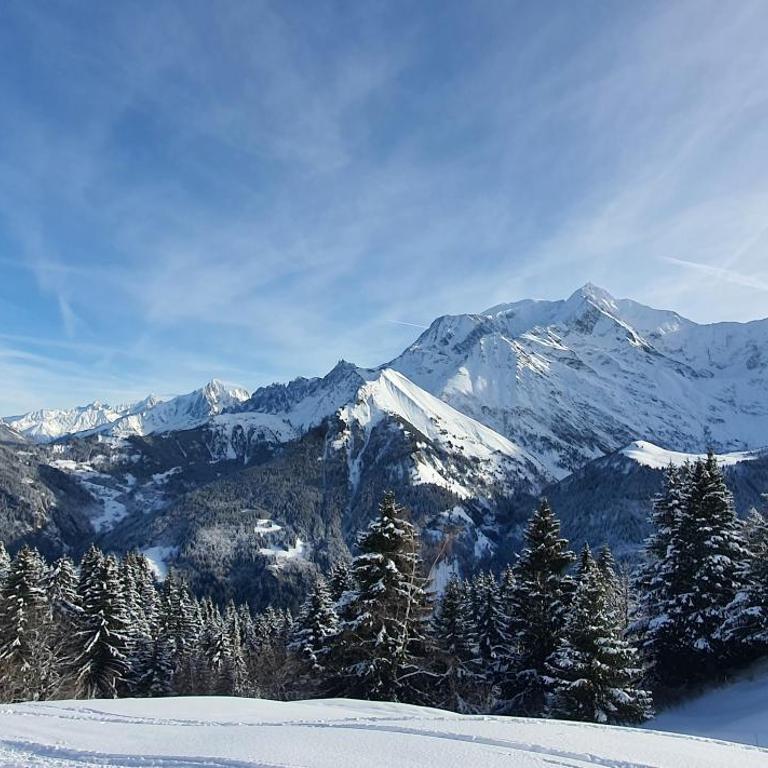 Chalet des Ours - 2 appartements 4 étoiles premium - 5 ou 6 personnes - Apartment mit 2 Schlafzimmern - 27