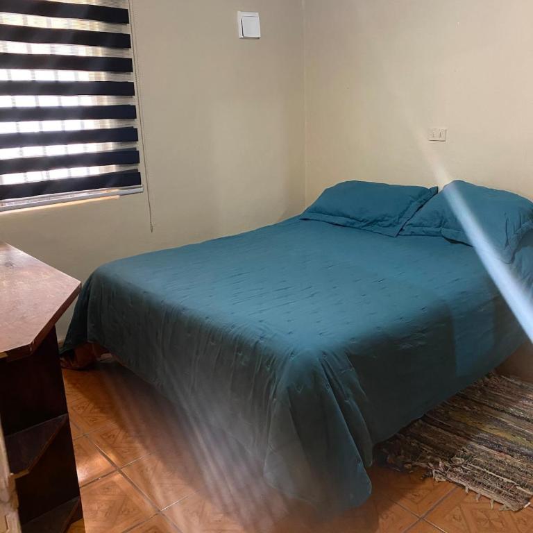 House in Molina - One-Bedroom House - 4