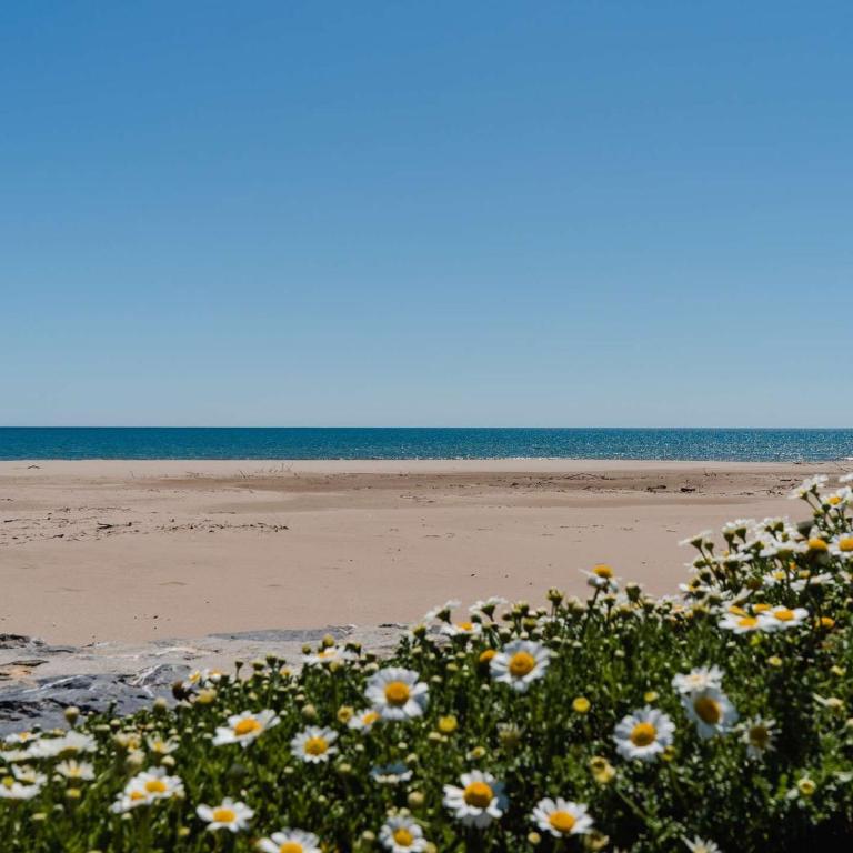 Appartement T3 climatisé avec piscine, balcon, parking, à 400m de la plage - Narbonne-Plage - FR-1-409-30 - Apartment (5 Adults) - 15