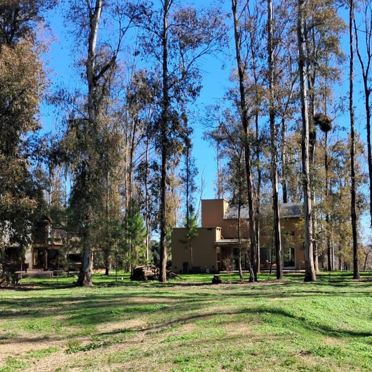 Casa Timbó - Casa de 2 dormitorios - 18