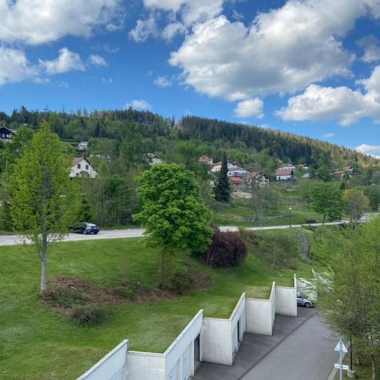 Studio à Gérardmer, les Dryades - Appartement 1 Chambre - 8