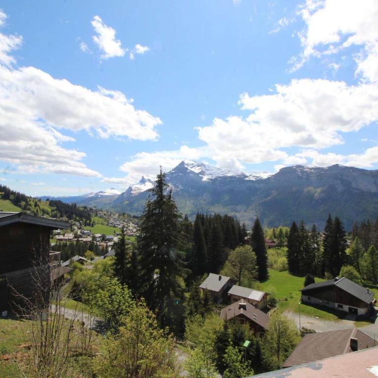 Chalet 5 ch, 11 pers, terrasse sud, Les Carroz - FR-1-572-115 - Chalet - 10