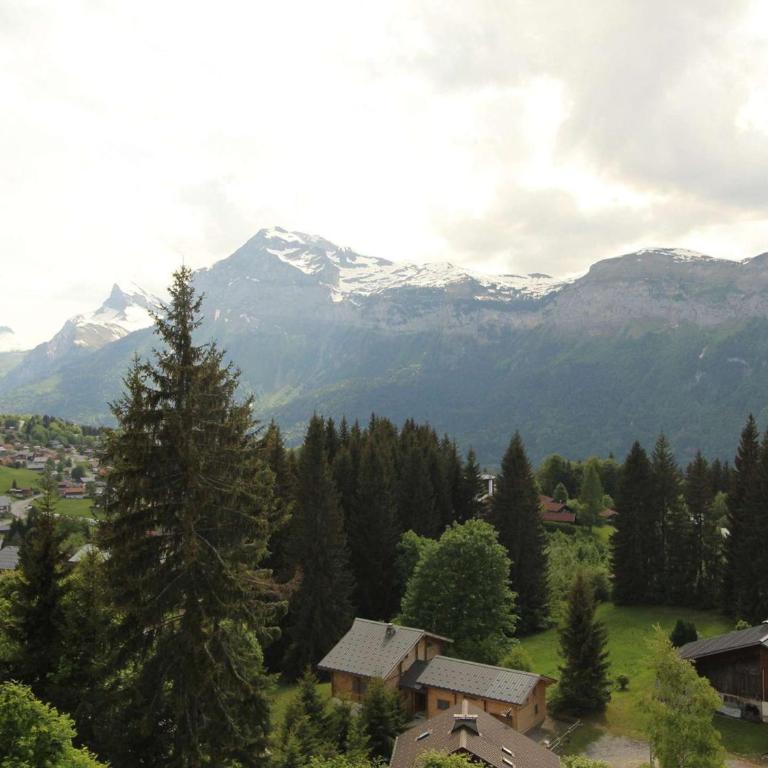 Chalet 5 ch, 11 pers, terrasse sud, Les Carroz - FR-1-572-115 - Chalet - 11