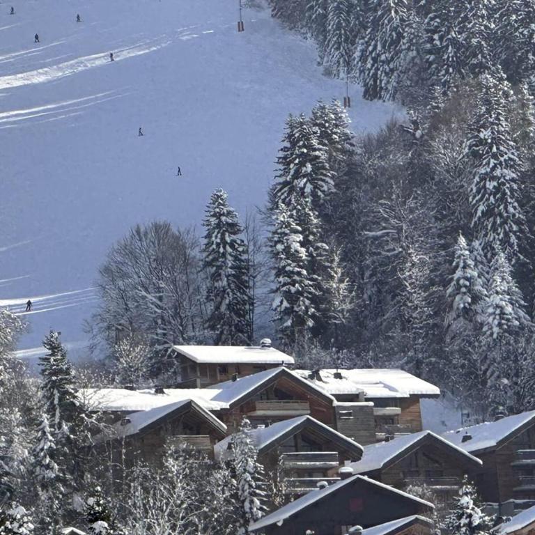 Appartement ski aux pieds, 3 pièces, 6 pers, terrasse sud, près des Carroz - FR-1-572-248 - Apartment (6 Erwachsene) - 8