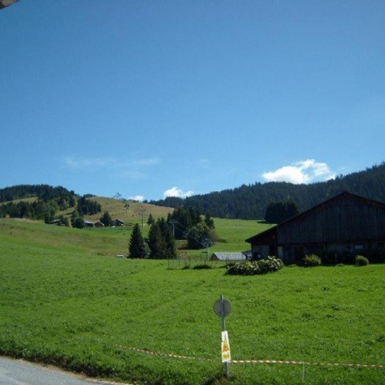 Appartement skis aux pieds, 3 chambres, hammam, wifi, parking - Crest-Voland - FR-1-733-43 - Apartment - 10