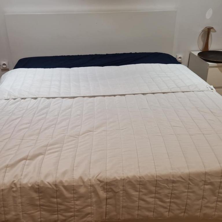 Appartement ou Chambre collocation - Quartier Saint-Genès - Sainte Catherine - Appartement - 18