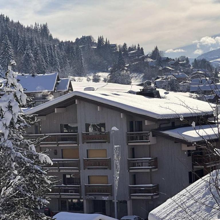 Studio 4 pers. au pied des pistes, balcon, parking, Wi-Fi, proche commerces - FR-1-572-238 - Studio - 10