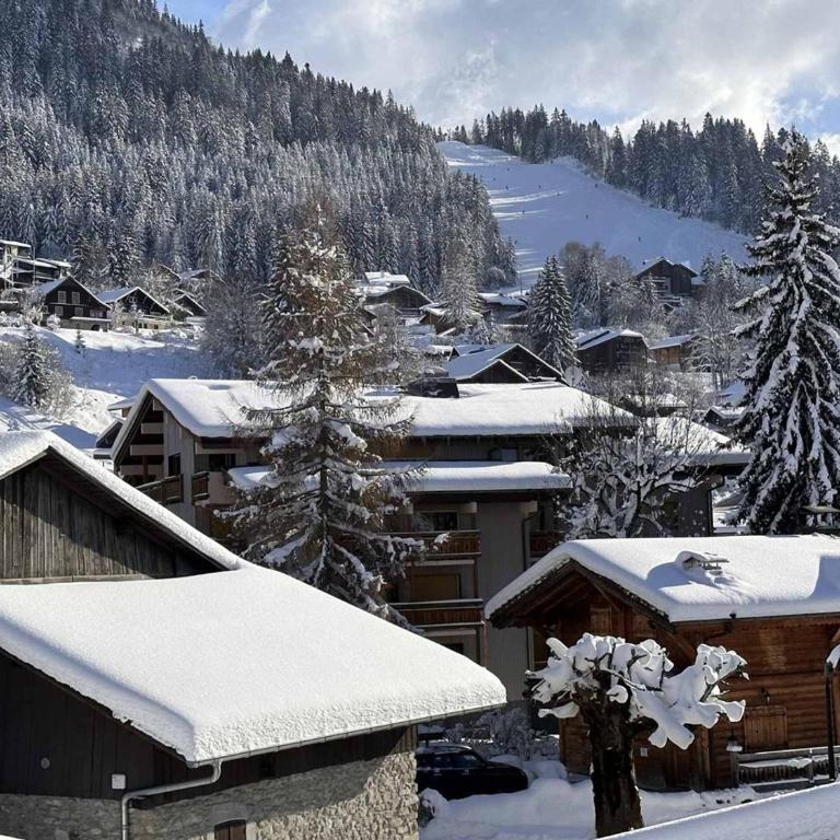Studio 4 pers. au pied des pistes, balcon, parking, Wi-Fi, proche commerces - FR-1-572-238 - Studio - 13