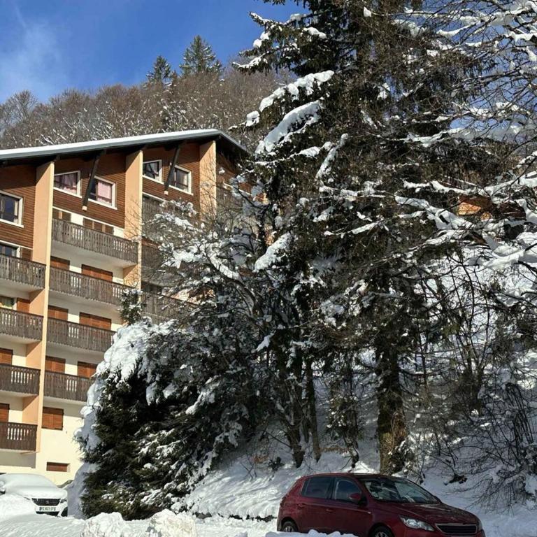 Charmant Studio-Cabine 4 pers, Centre-Village, Balcon Ouest, à 600m des Pistes - FR-1-572-281 - Studio - 12