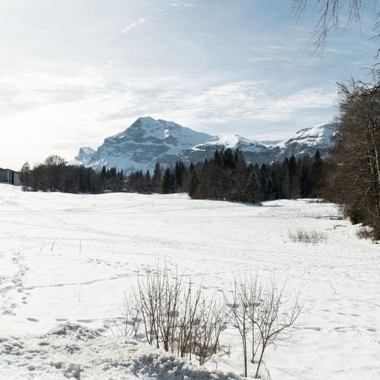 Studio 4 pers au pied des commerces, 450 m des pistes - FR-1-572-256 - Studio - 7