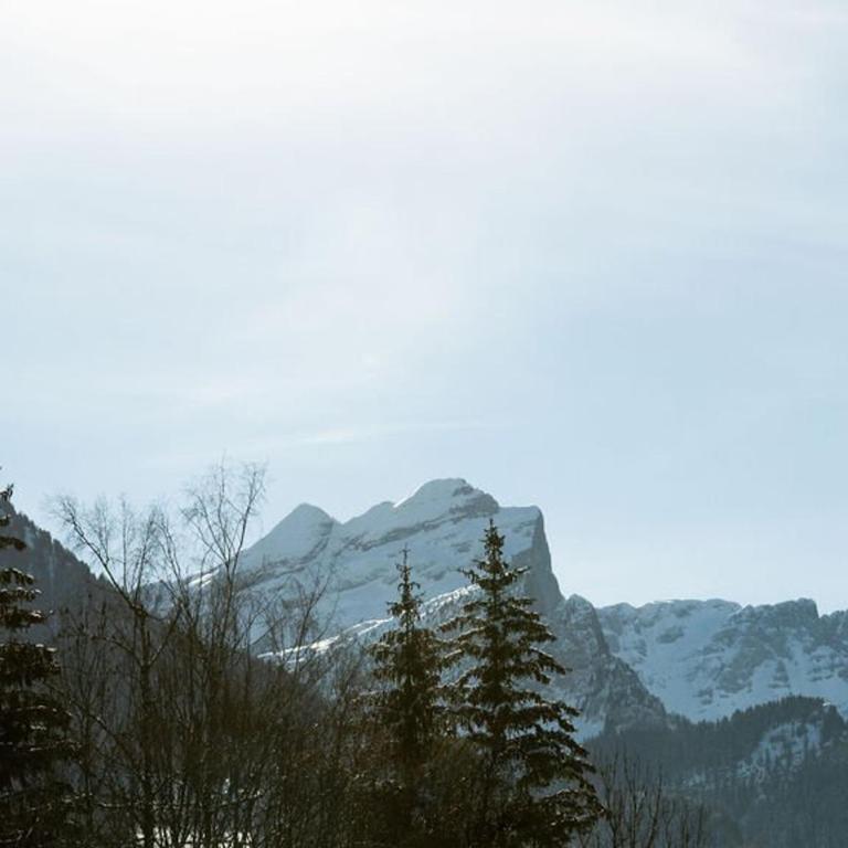 Studio 4 pers au pied des commerces, 450 m des pistes - FR-1-572-256 - Studio - 9