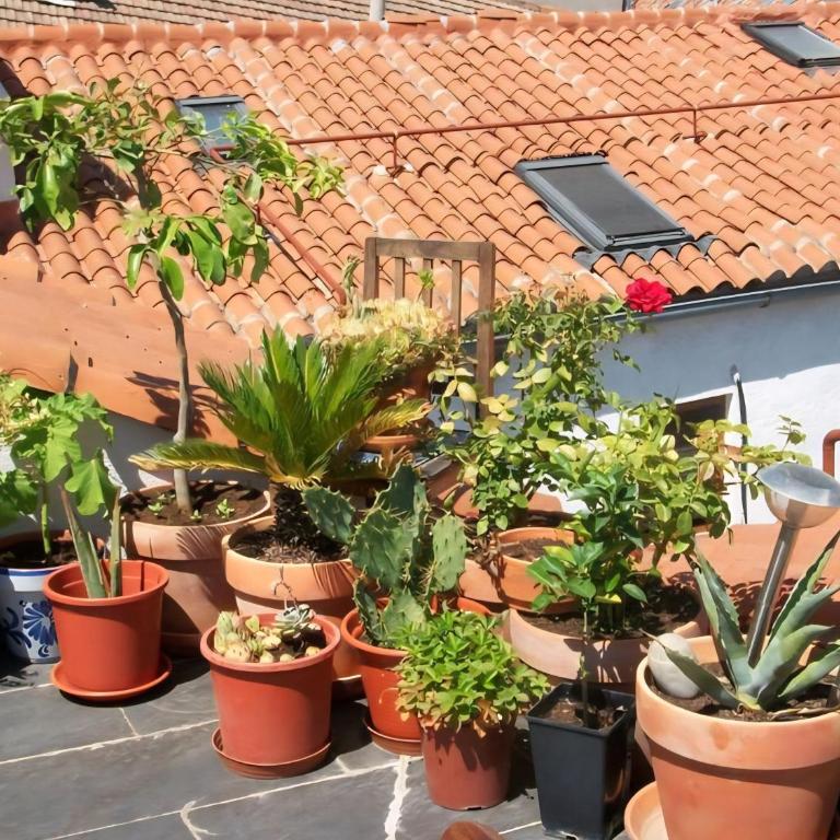 Lovely Loft Apartment Madrid Center - Two-Bedroom Apartment - 1