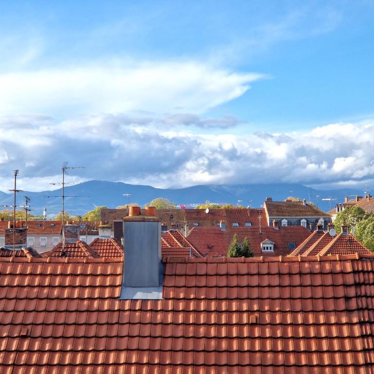Magnifique Appartement Mulhouse Stationnement Gratuit - Apartamento de 1 dormitorio - 3