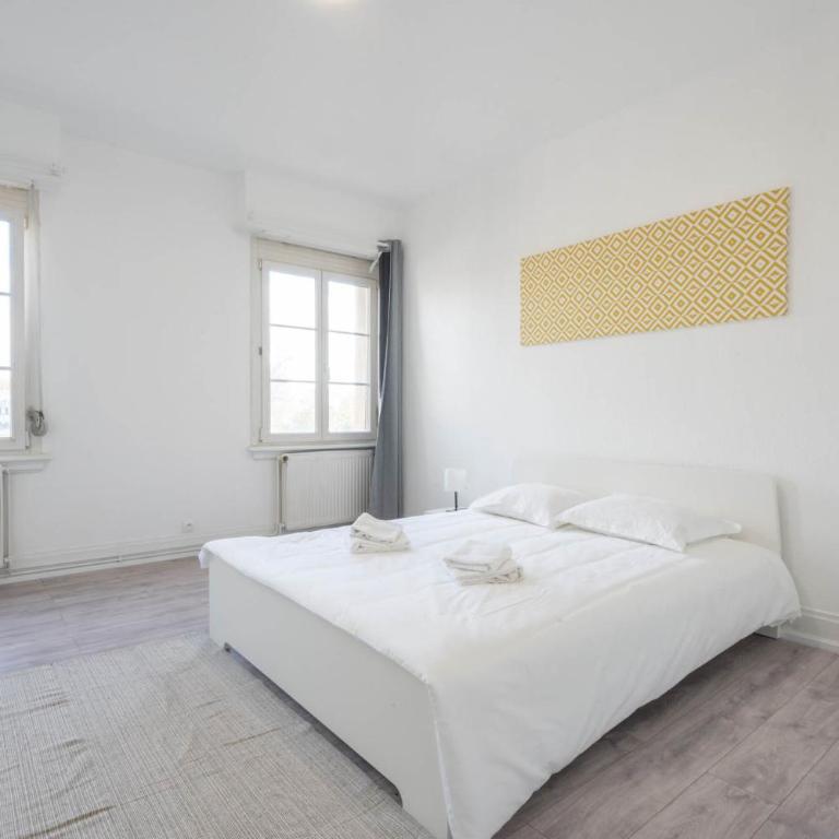 Magnifique Appartement Mulhouse Stationnement Gratuit - Apartamento de 1 dormitorio - 8