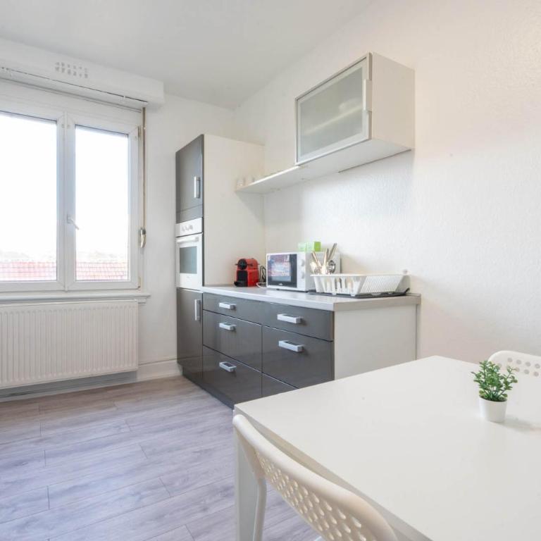 Magnifique Appartement Mulhouse Stationnement Gratuit - Apartamento de 1 dormitorio - 10
