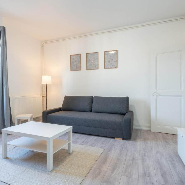 Magnifique Appartement Mulhouse Stationnement Gratuit - Apartamento de 1 dormitorio - 11