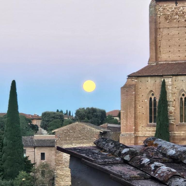 Appartamento incantevole con loggia sui tetti - Appartamento con 1 Camera da Letto - 22