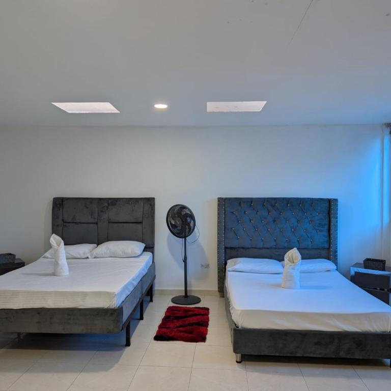 KING DAVID HOSTEL-3er piso - Apartamento - 3