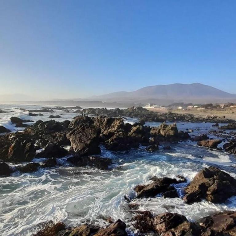 Cabaña en La Ballena, V región - Apartamento de 1 dormitorio - 17