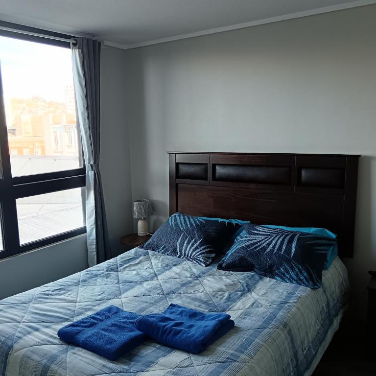 Depto en Valparaíso centro - Apartamento de 1 dormitorio - 3