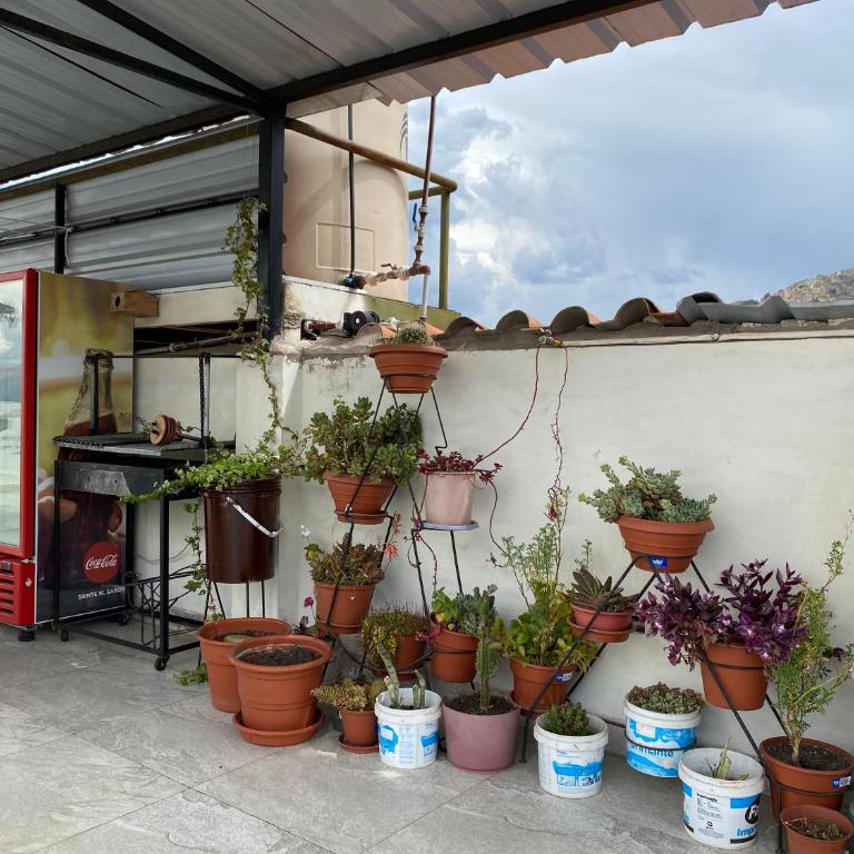 Adriano's Deluxe Apartments 1 - Apartamento de 3 dormitorios - 7