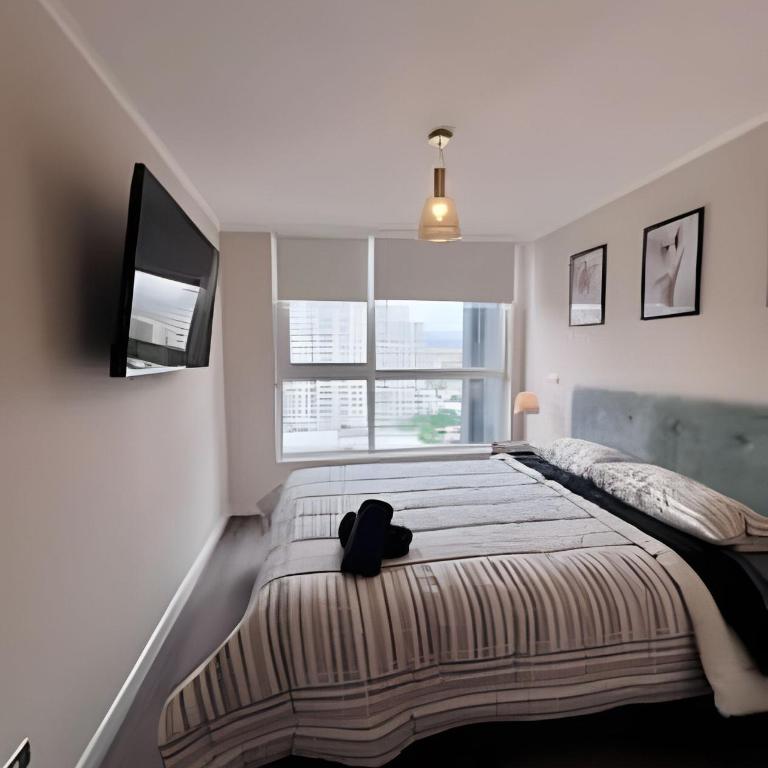 Refugio urbano con estilo y confort - One-Bedroom Apartment - 4