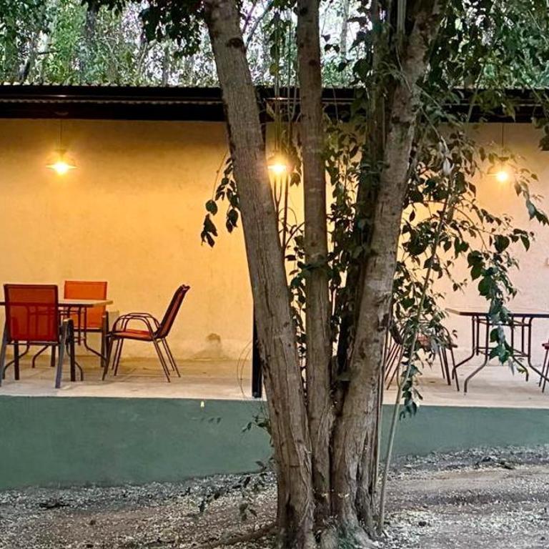 Complejo Baren - One-Bedroom Apartment with Terrace - 8