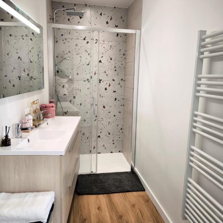Appartement Prestige Cœur de Reims - Apartment mit 1 Schlafzimmer - 17