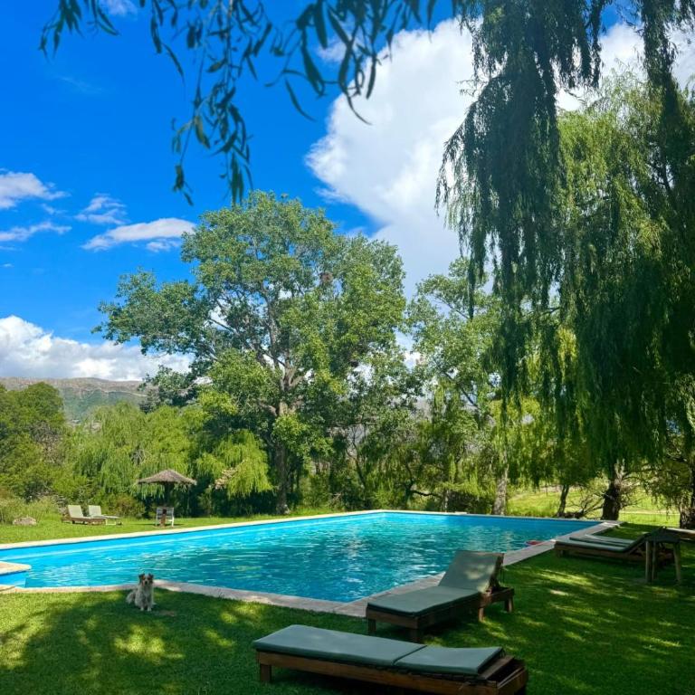 Cabañas Pampa - Chalet de 2 dormitorios - 15