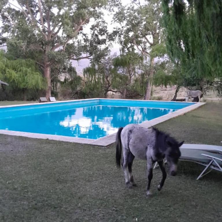 Cabañas Pampa - Chalet - 22