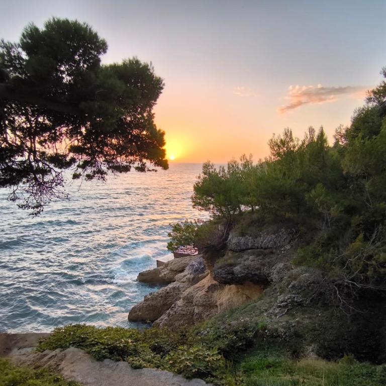 Bienvenue chez nous - Apartman sa 1 Spavaćom Sobom – Nepušački - 8