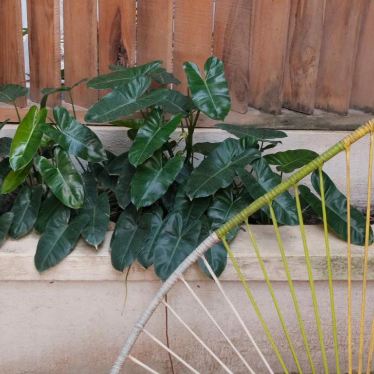 Casa Colibri Palomino - Habitación Doble Superior con terraza y aire acondicionado - 10
