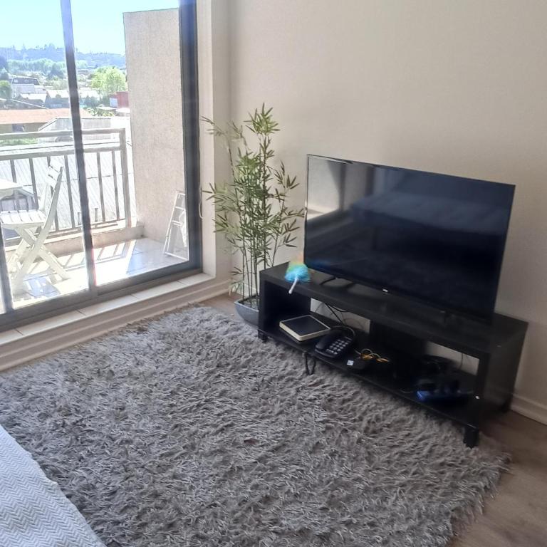 Bosques de Collao - One-Bedroom Apartment - 17