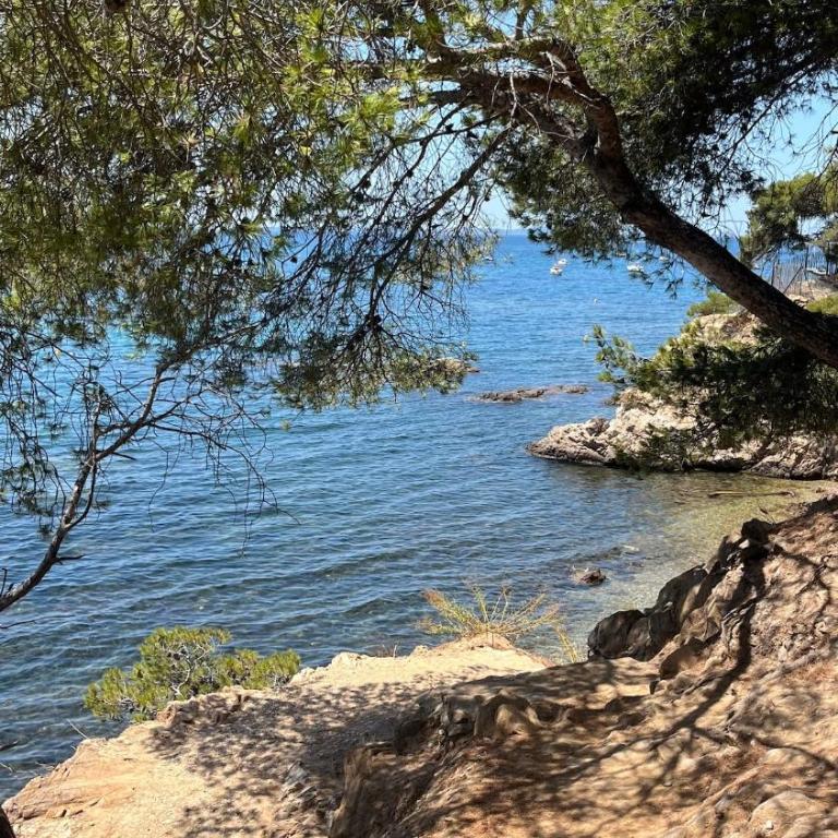 T2-les lavandes - Apartamento de 2 dormitorios - 10