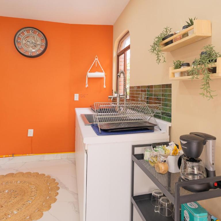Casa Olivo - Apartamento de 1 dormitorio - 30