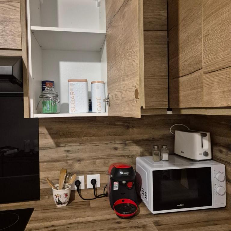 Lanfonnet t3 Annecy - Appartement 2 Chambres - 20