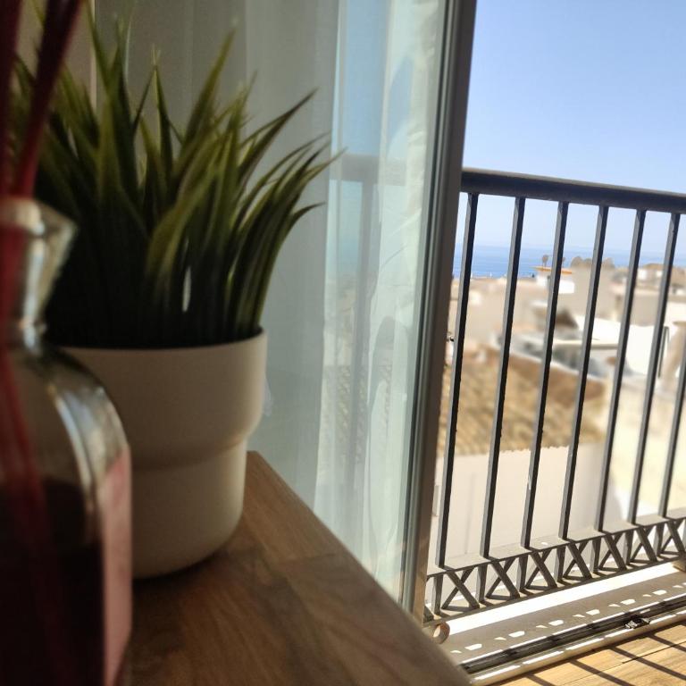 Biznaga seaviews - Apartment with Sea View - 3