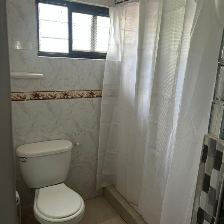 Mundo Sativo - Apartamento de 1 dormitorio - 2