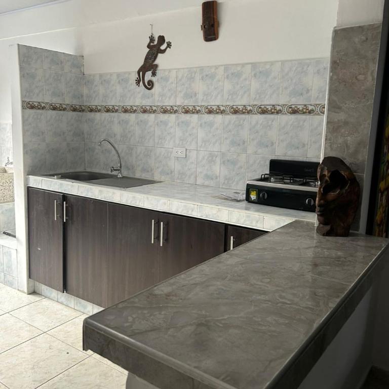 Mundo Sativo - Apartamento de 1 dormitorio - 5