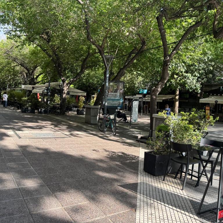 Luminoso departamento en el corazón de Mendoza - Apartamento de 1 dormitorio - 15