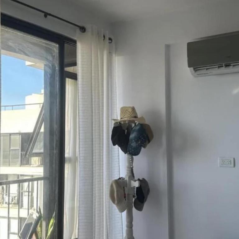 Frente al sol - One-Bedroom Apartment - 6