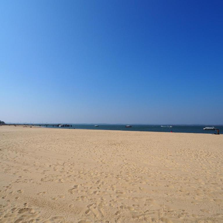 Vacances à Arcachon - Appartement proche du Moulleau avec Terrasse - FR-1-474-281 - Apartment - 17