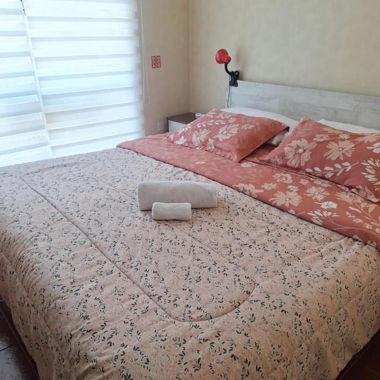 Beautiful and spacious family house - Four-Bedroom House - 46